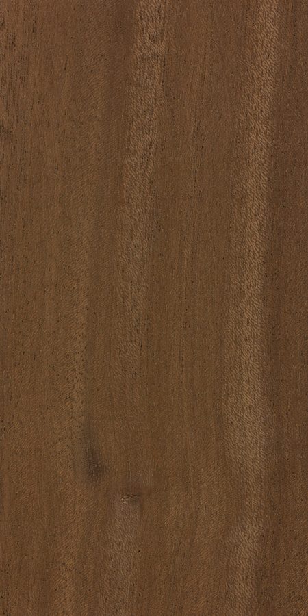 Kossipo — Entandrophragma candollei wood grain