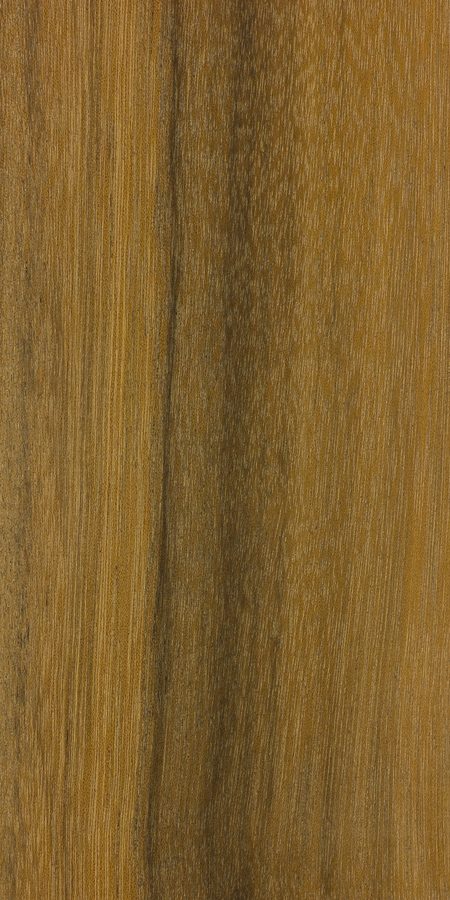 Okan — Cylicodiscus gabunensis wood grain