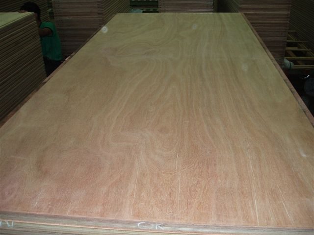 Container Flooring Plywood — Apitong/Keruing