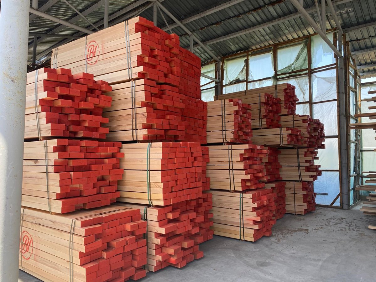 European Beechwood KD — WS Tropical Resources